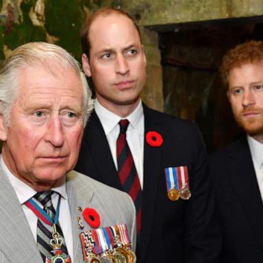 VIDEO: Prince Harry speaks about visiting father following cancer diagnosis