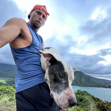 VIDEO: Hiker rescues dog from Hawaii mountain