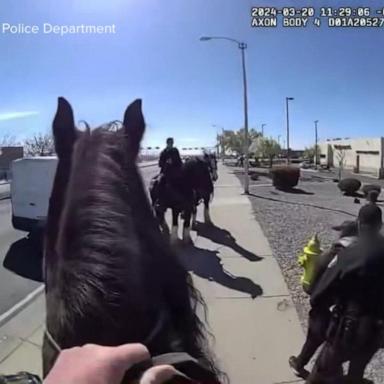 VIDEO: The Albuquerque police horse chase