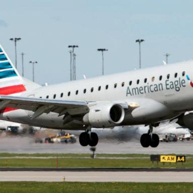 VIDEO: American Eagle flight makes emergency landing in Baltimore due to bird strike