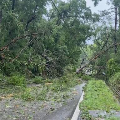 VIDEO: 1 killed in powerful Florida storm