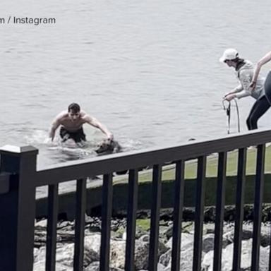 VIDEO: Man dives into the Hudson River to rescue dog in Hoboken, New Jersey