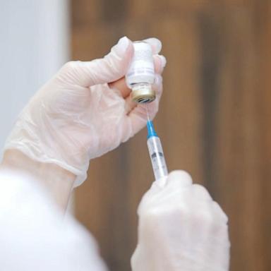 VIDEO: Scientists testing bird flu vaccine