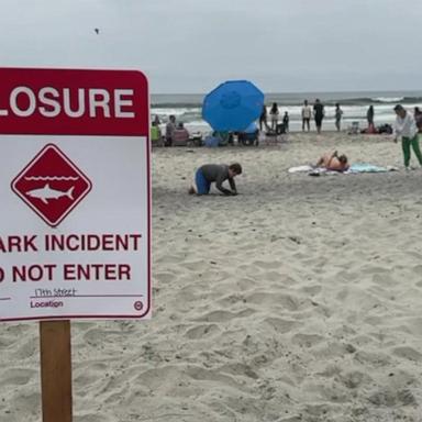 VIDEO: Man taken to hospital after being bit by a shark in Southern California