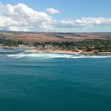 VIDEO: 25-year-old woman attacked by shark in Hawaii