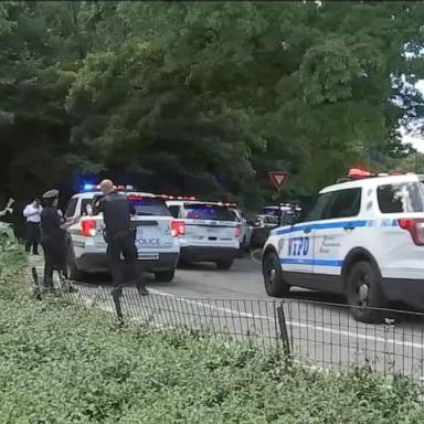 VIDEO: NYPD reports search for suspect after attempted sexual assault of woman in Central Park 