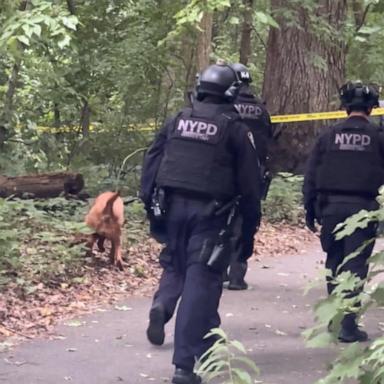 VIDEO: NYC police searching for man who they say sexually assaulted woman in Central Park 