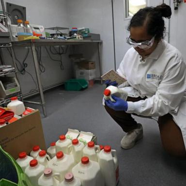 VIDEO: Nation's milk supply safe amid bird flu outbreak