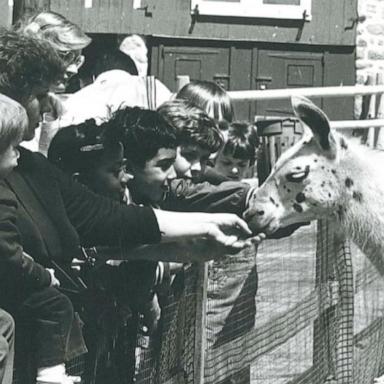 VIDEO: Philadelphia Zoo celebrates 150th anniversary as the first zoo in America 