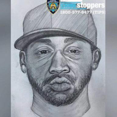 VIDEO: Police arrest suspect in connection with attack on woman sunbathing in Central Park 