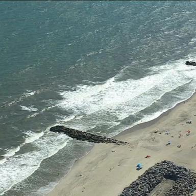 VIDEO: Shark sightings forcing popular beach in NYC to close 