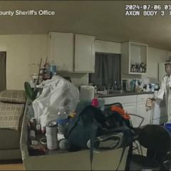 Video reveals horrifying scene of deputy fatally shooting Black woman in Illinois 