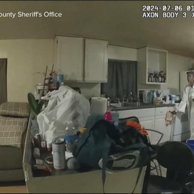 VIDEO: Video reveals horrifying scene of deputy fatally shooting Black woman in Illinois 