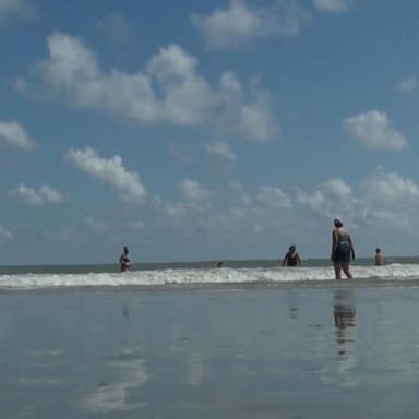 VIDEO: Swimmer bit by shark at Burkes Beach on Hilton Head Island in South Carolina 