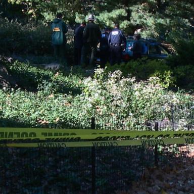 VIDEO: RFK Jr. says he left bear carcass in Central Park as prank