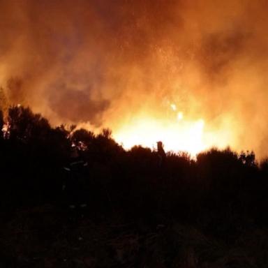 VIDEO: Greece wildfires force more than 30,000 to flee 