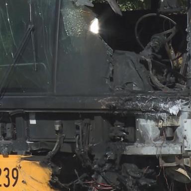 VIDEO: California authorities probe head-on collision between school bus and car 