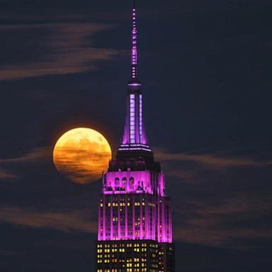 VIDEO: Rare harvest blood super moon stuns around the world