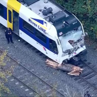 NJ Transit operator dead, passengers injured after train hits tree 