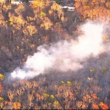 VIDEO: Drought warnings issued in New York, including NYC 