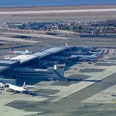 Bird strikes American Airlines plane forcing an emergency landing 