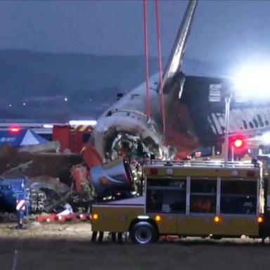 VIDEO: Boeing 737 crash lands at airport in South Korea