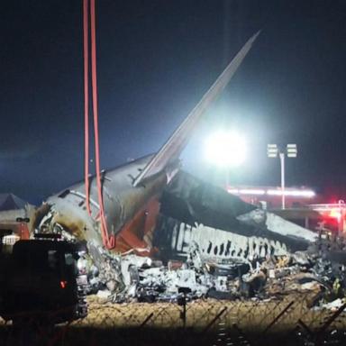 VIDEO: Investigators probe cause of South Korean plane crash 