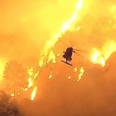 VIDEO: Apocalyptic destruction throughout Pacific Palisades in aftermath of wildfire 