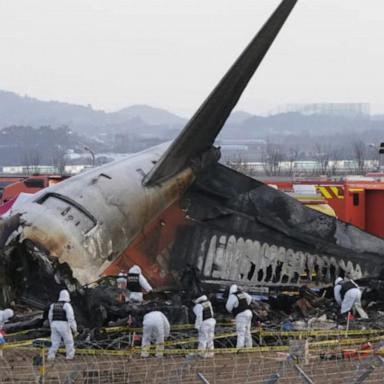 VIDEO: Black box in South Korea plane crash missing crucial data