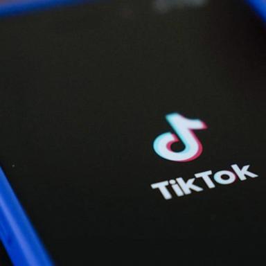 VIDEO: TikTok back for some users after Trump vows to delay ban 