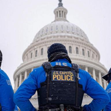 VIDEO: Massachusetts man found with gun after taking tour of the US Capitol: Police 