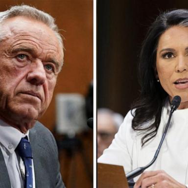 VIDEO: Trump picks RFK Jr., Tulsi Gabbard pass key votes