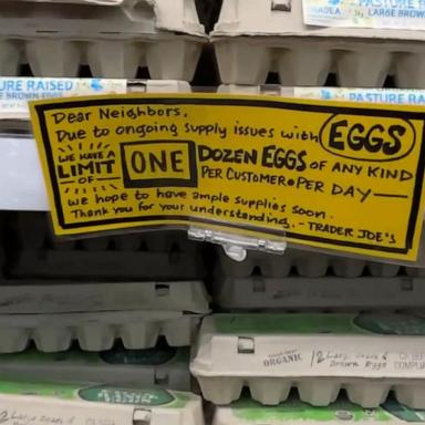 VIDEO: Supermarkets limit purchases on fresh eggs amid shortages 