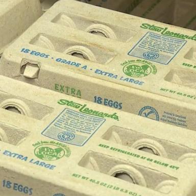 VIDEO: Egg prices hit record high 