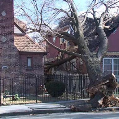 1 dead, thousands without power in Philadelphia region due to strong winds