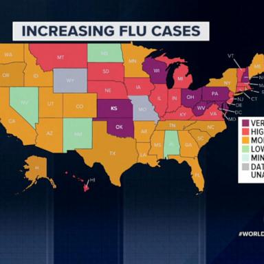 23 states with high or very high for respiratory illness activity levels: CDC