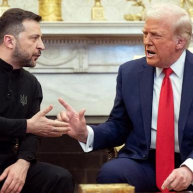 VIDEO: Trump, Zelenskyy meeting erupts into Oval Office shouting match