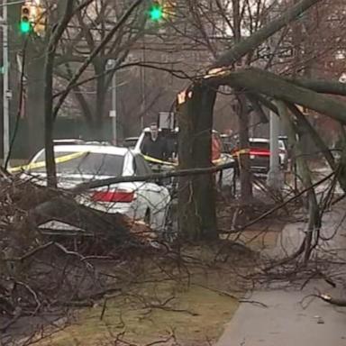 VIDEO: High winds hit Northeast from D.C. to Boston, leaving millions on alert 