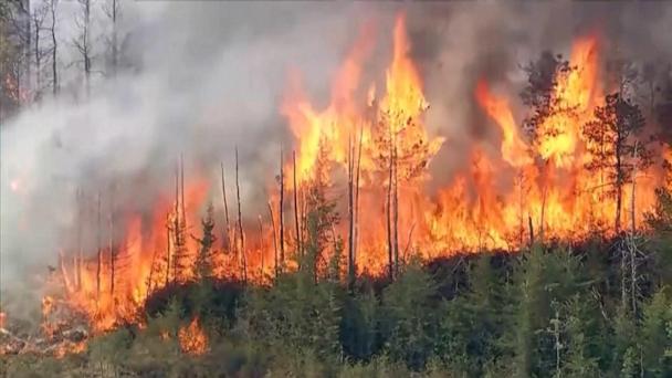 Police arrest second teenager in connection with massive Ocean City, NJ wildfire