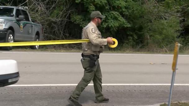 Florida authorities investigating suspected bear attack after man and dog found dead