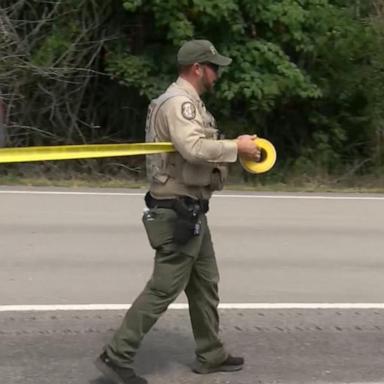 VIDEO: Florida authorities investigating suspected bear attack after man and dog found dead