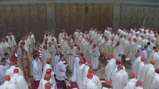Pope Leo XIV described by fellow cardinals as a "bridge builder"