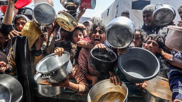United Nations warns 14,000 babies in Gaza will die in 48 hours without aid