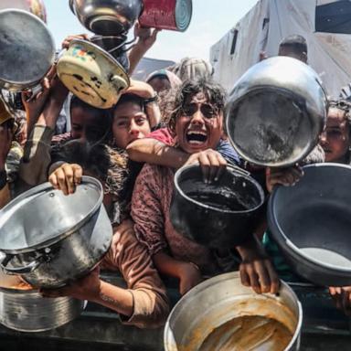 VIDEO: United Nations warns 14,000 babies in Gaza will die in 48 hours without aid