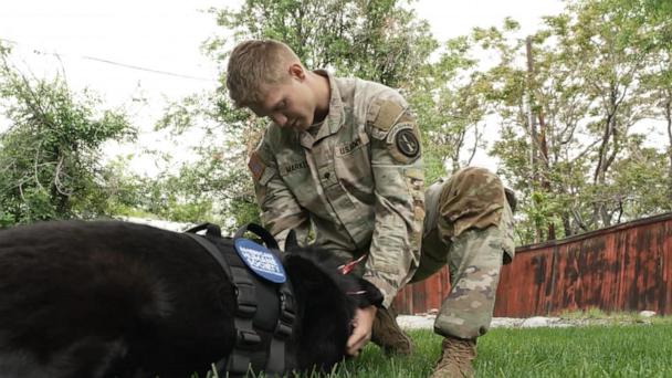 American Humane Society helps Army Specialist reunite and adopt his former K-9