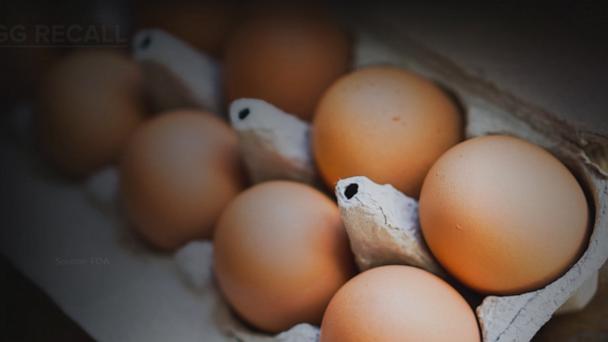 Important recall of eggs potentially linked to salmonella outbreak 