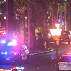 Suspect surrenders to authorities in Vegas strip shooting