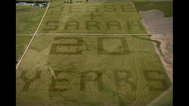 Farmer plants millions of wheat seeds to surprise wife for 20th anniversary