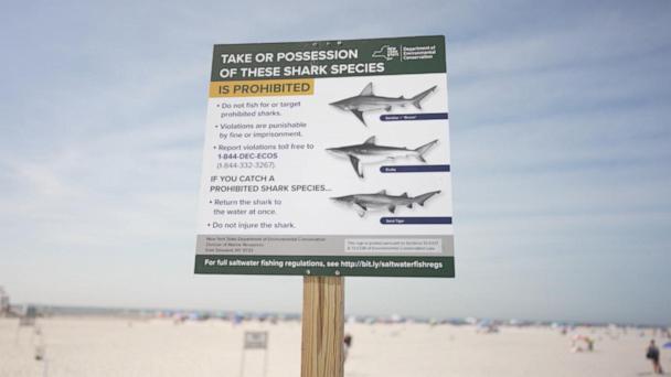 Shark "most likely" bit woman at New York's Jones Beach, officials say