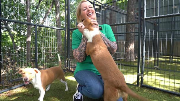 Volunteers help rescue hundreds of cats, dogs amid deadly Texas floods